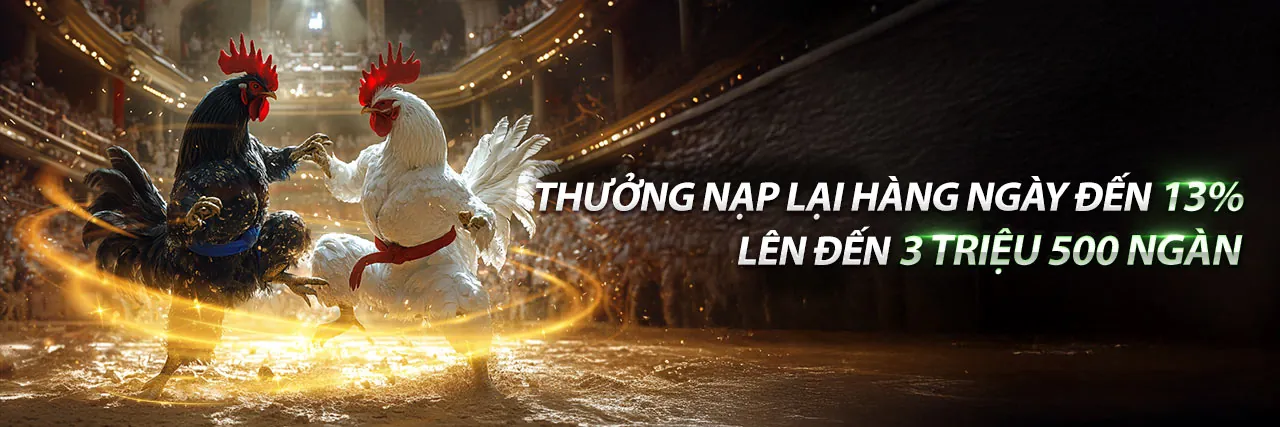 Đá Gà Trực Tuyến i9bet58 link mới