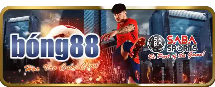 Trải nghiệm cá nhân hóa i9bet58